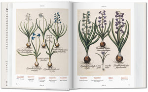 FLORILEGIUM. BOOK OF PLANTS TASCHEN