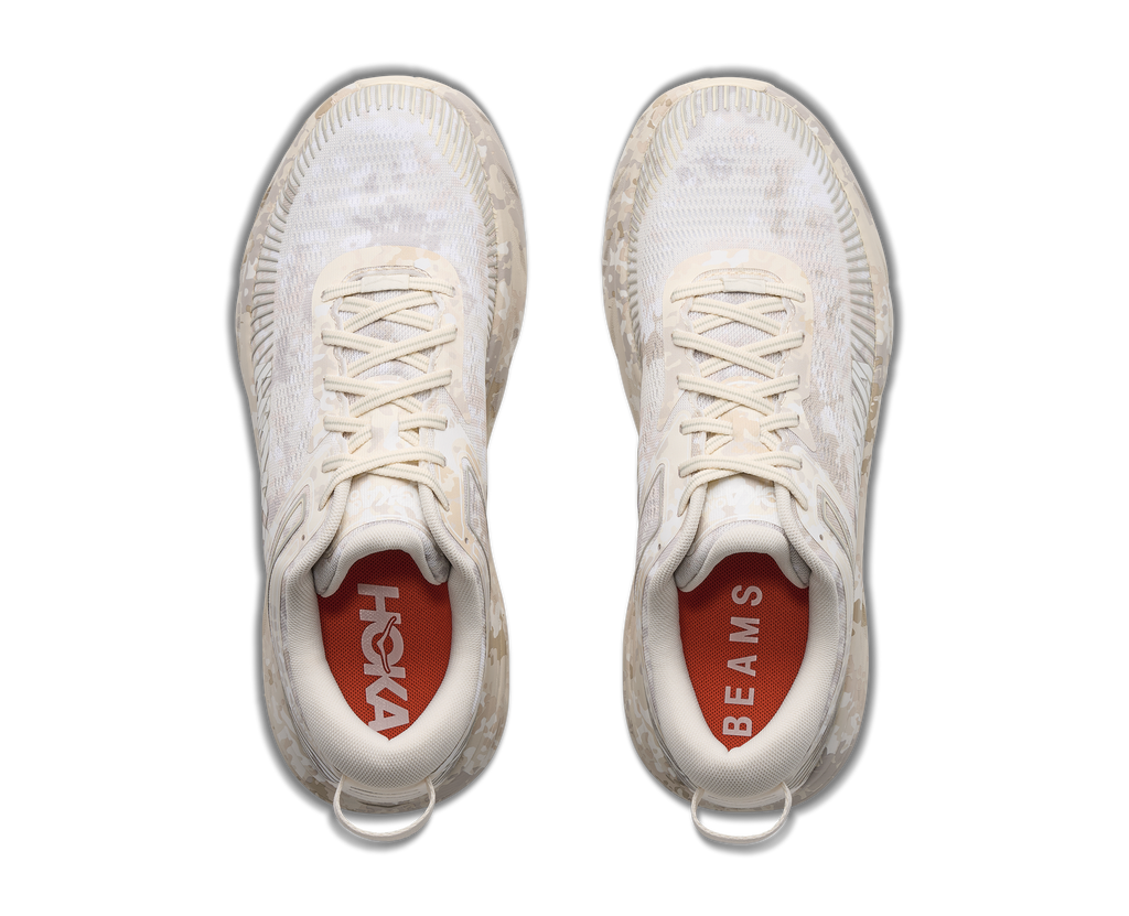 BONDI 7 BEAMS / TURTLEDOVE