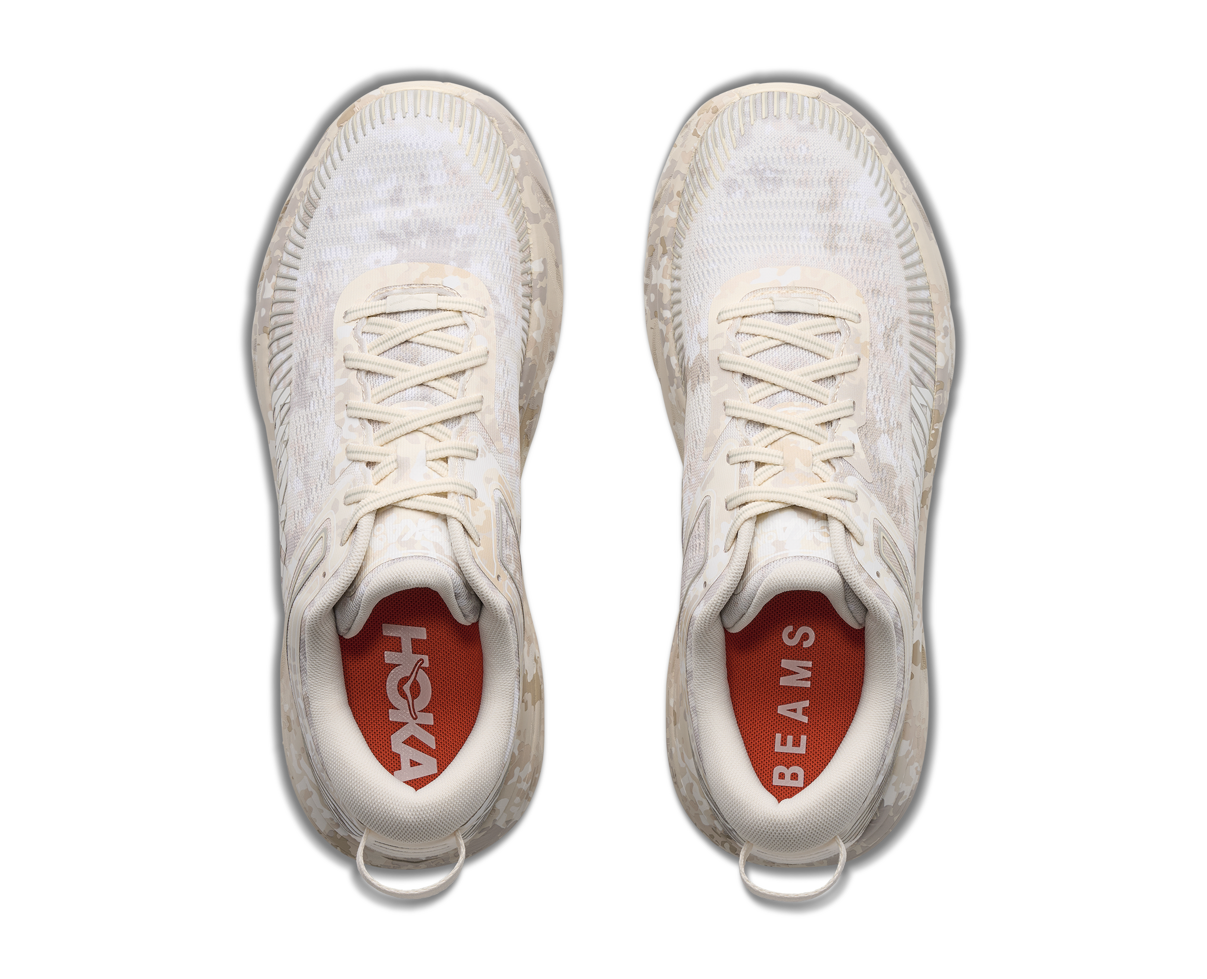 BONDI 7 BEAMS / TURTLEDOVE