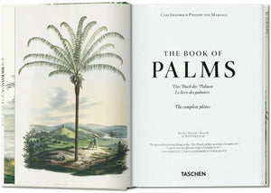 MARTIUS. THE BOOK OF PALMS - MACHUS