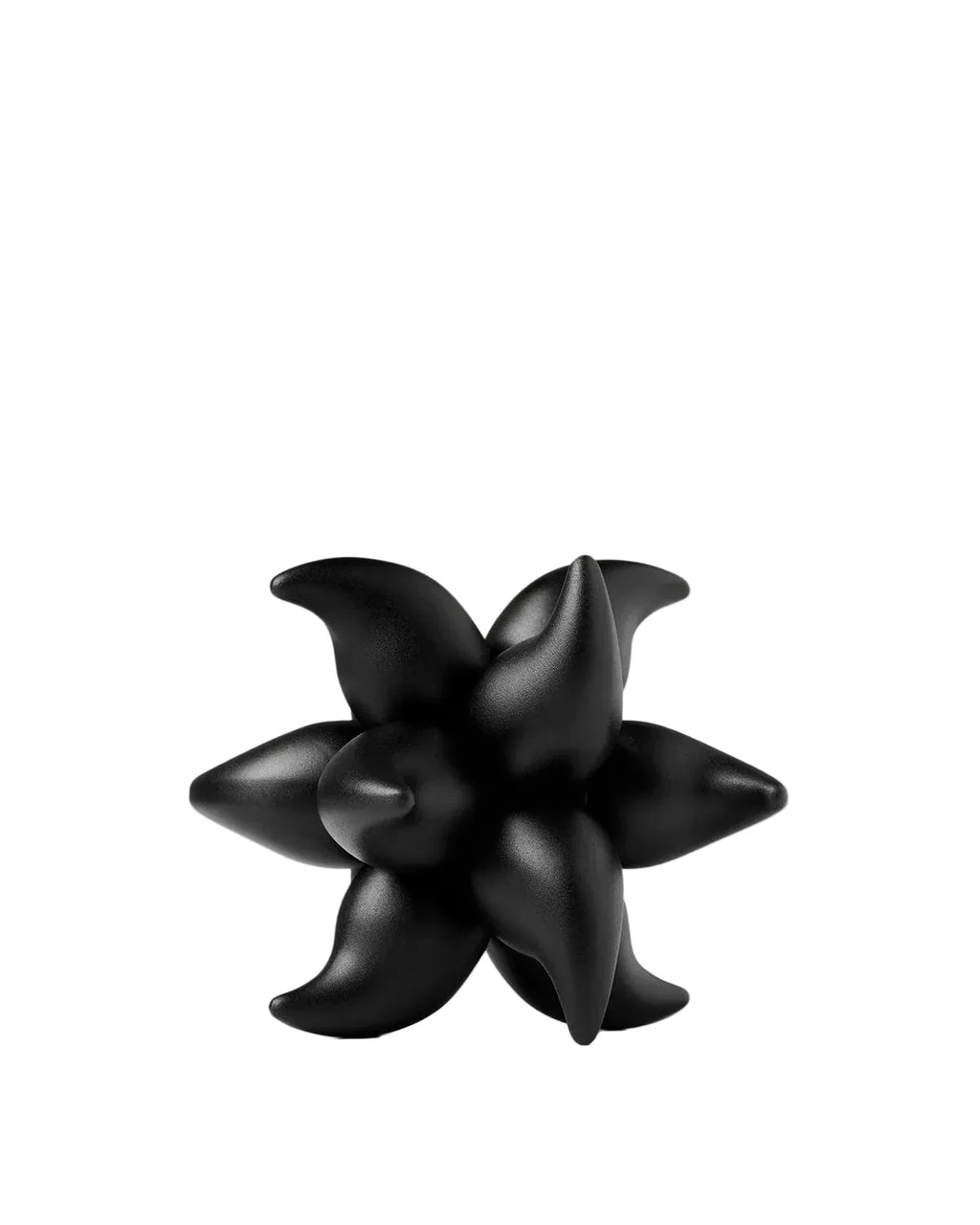 ANDROMEDA PUZZLE