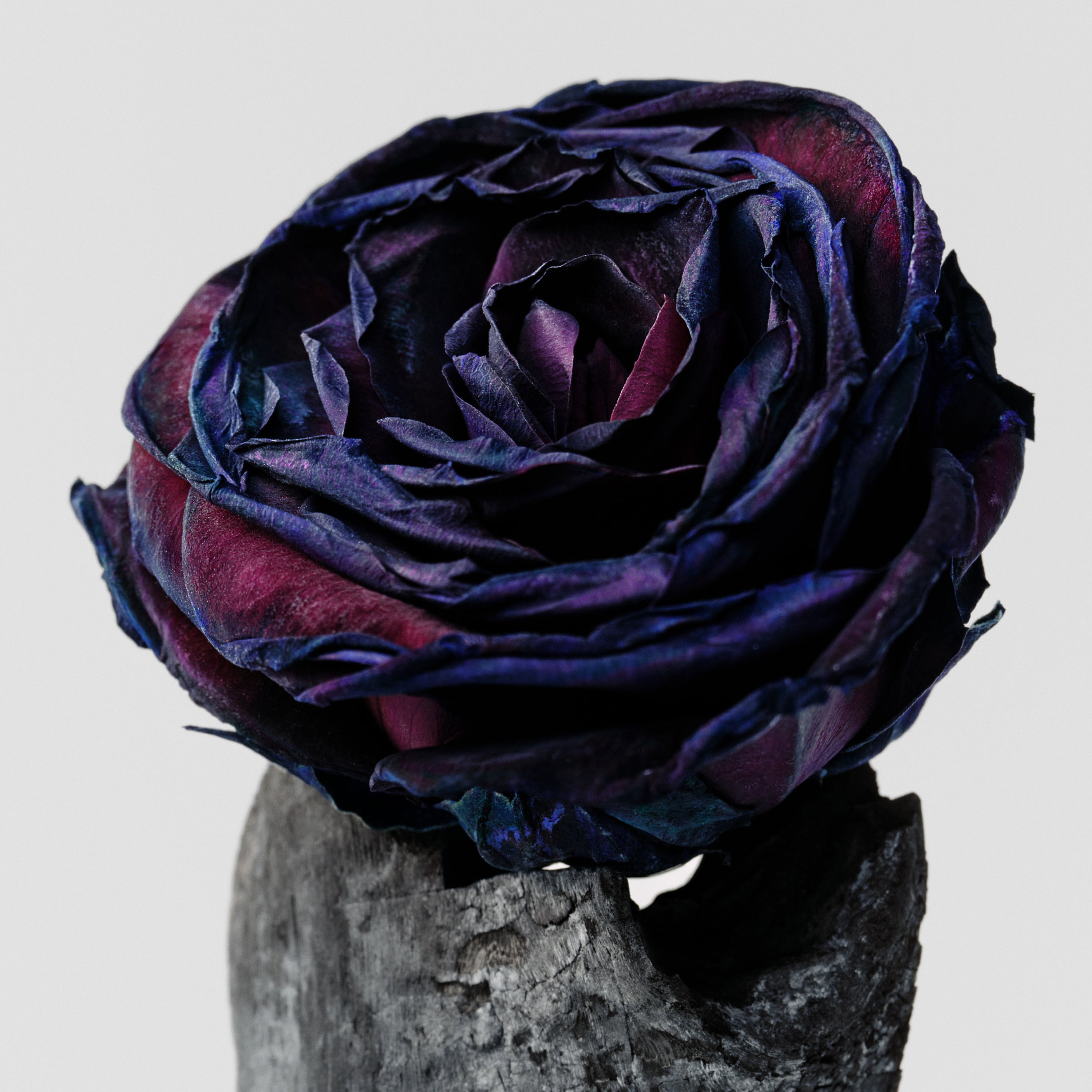 BODY MIST / BLACK ROSE & OUD