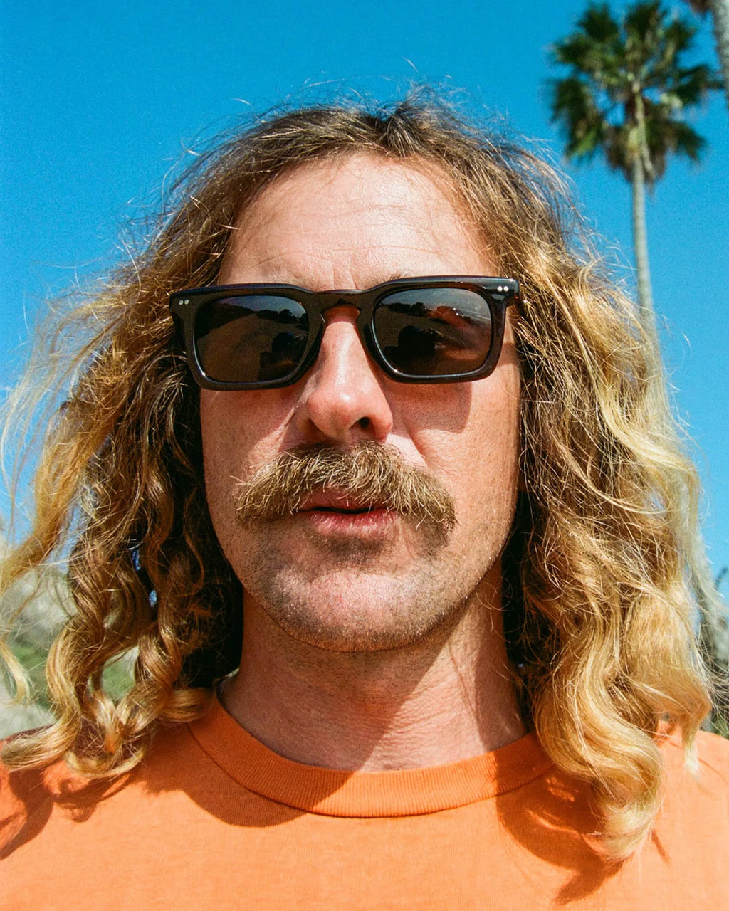 RADIO HAZE / COLA POLARIZED