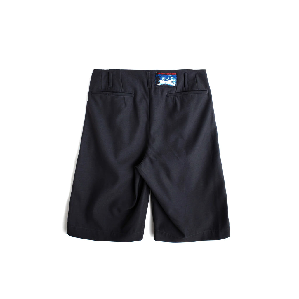 HOLLYWOOD WAIST SHORTS