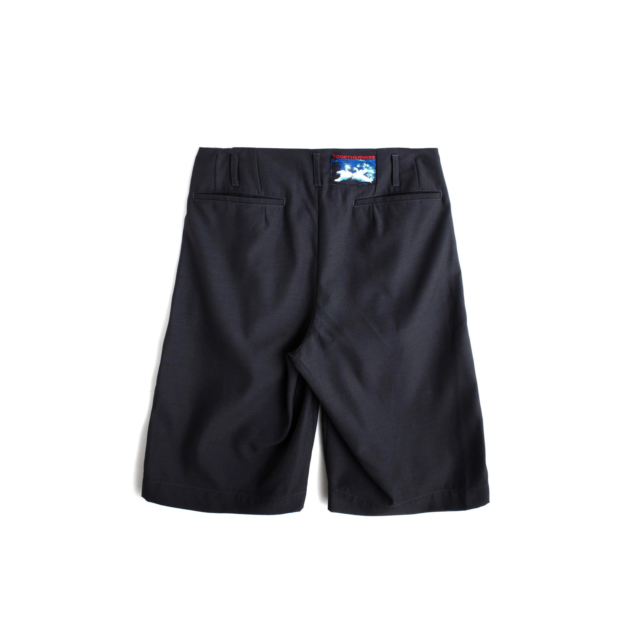 HOLLYWOOD WAIST SHORTS