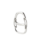 COACHWHIP CARABINER