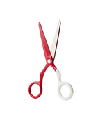 SPECTRA SCISSORS