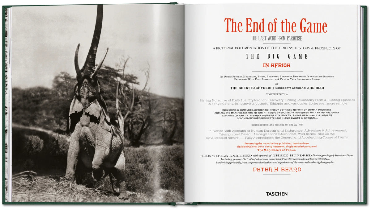 THE END OF THE GAME