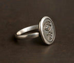 SIGNS / RING